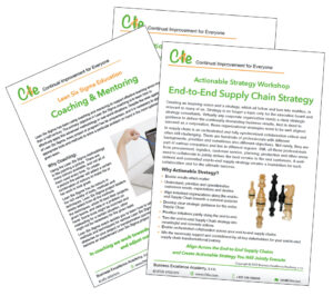 Request Business Excellence Academy brochure